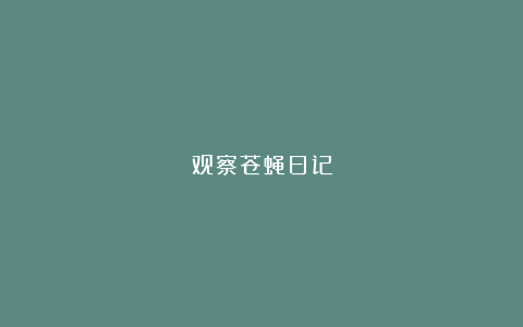 观察苍蝇日记