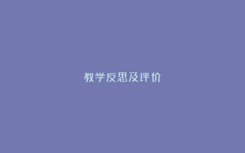 教学反思及评价