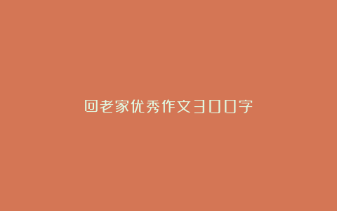 回老家优秀作文300字