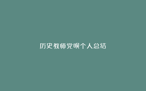 历史教师党员个人总结