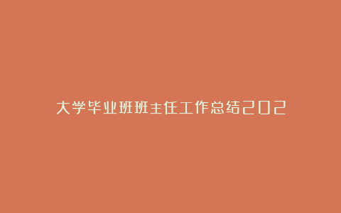 大学毕业班班主任工作总结202