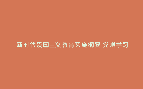 《新时代爱国主义教育实施纲要》党员学习心得素材