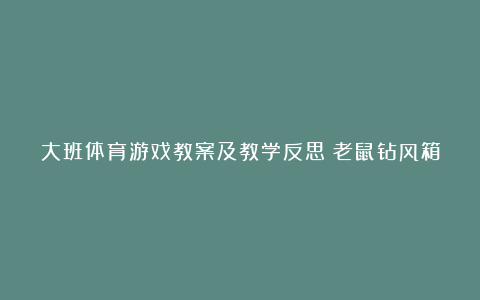 大班体育游戏教案及教学反思《老鼠钻风箱》