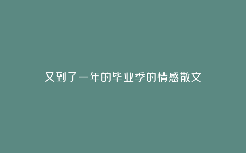 又到了一年的毕业季的情感散文