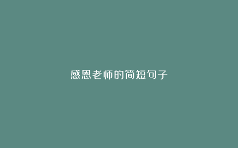 感恩老师的简短句子