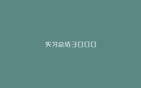 实习总结3000