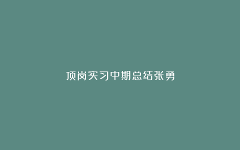 顶岗实习中期总结张勇