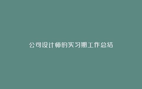 公司设计师的实习期工作总结