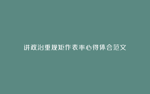 讲政治重规矩作表率心得体会范文