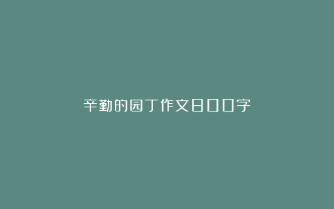 辛勤的园丁作文800字