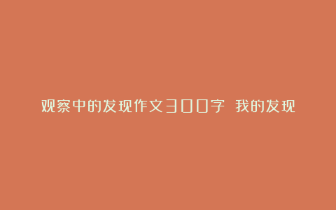 观察中的发现作文300字 我的发现