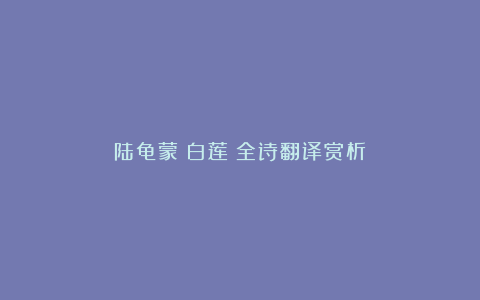 陆龟蒙《白莲》全诗翻译赏析