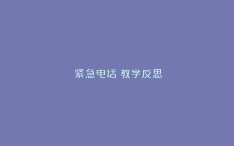 《紧急电话》教学反思