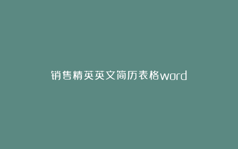 销售精英英文简历表格word