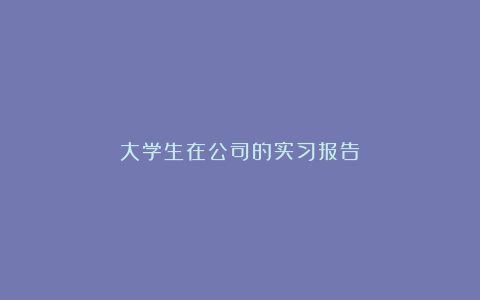 大学生在公司的实习报告