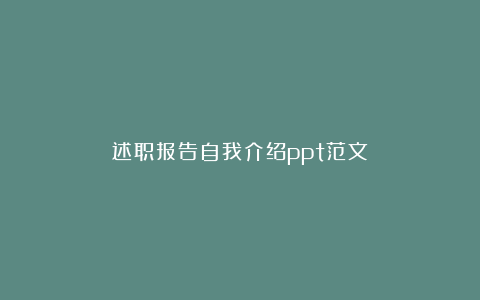 述职报告自我介绍ppt范文