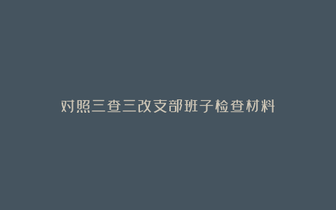 对照三查三改支部班子检查材料