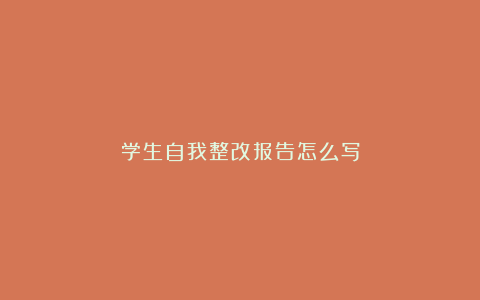 学生自我整改报告怎么写