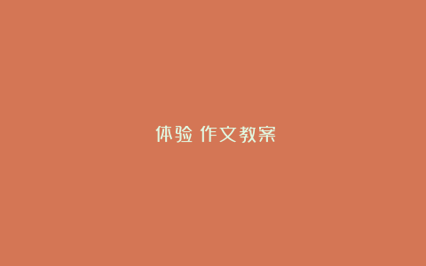 《体验》作文教案