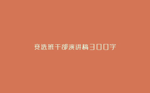 竞选班干部演讲稿300字