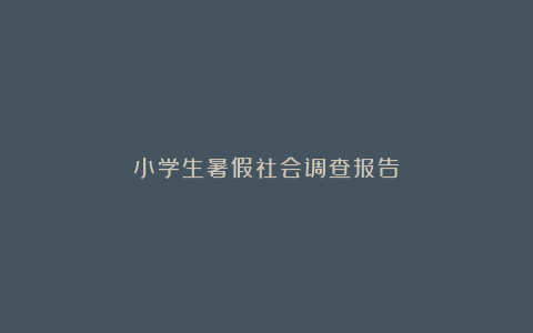 小学生暑假社会调查报告