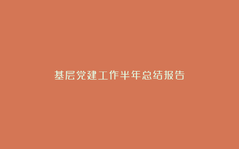 基层党建工作半年总结报告