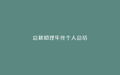 总裁助理年终个人总结