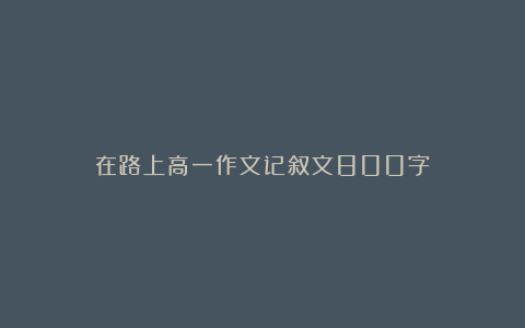 在路上高一作文记叙文800字