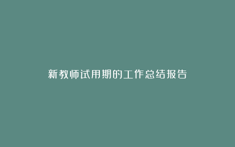 新教师试用期的工作总结报告