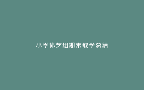 小学体艺组期末教学总结