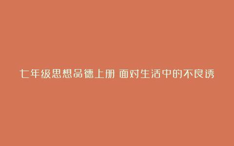 七年级思想品德上册《面对生活中的不良诱惑》教学反思