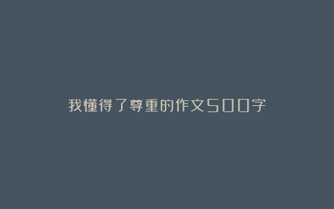 我懂得了尊重的作文500字