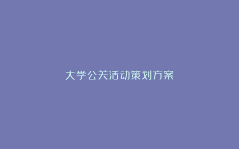 大学公关活动策划方案