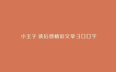 《小王子》读后感精彩文章300字