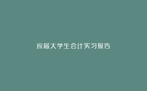 应届大学生会计实习报告