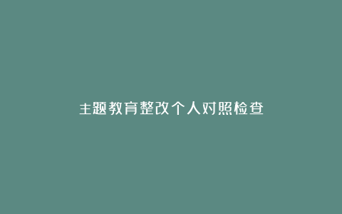 主题教育整改个人对照检查