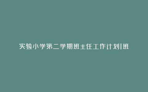 实验小学第二学期班主任工作计划1班