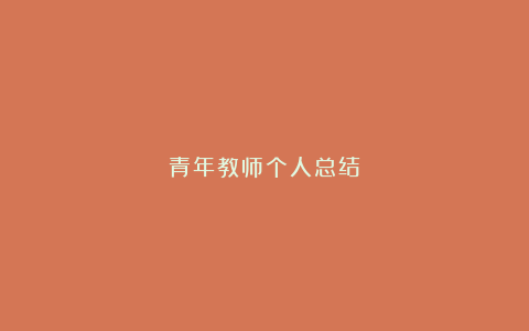 青年教师个人总结