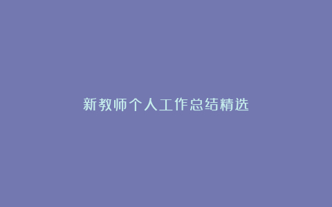 新教师个人工作总结精选