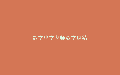 数学小学老师教学总结