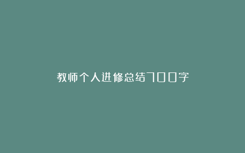 教师个人进修总结700字