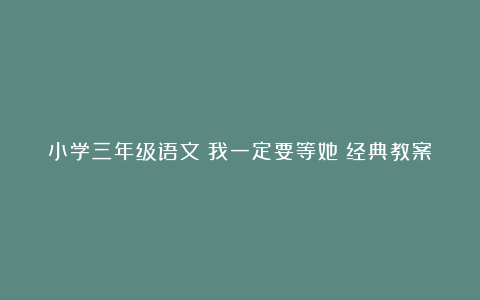 小学三年级语文《我一定要等她》经典教案