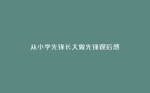 从小学先锋长大做先锋观后感