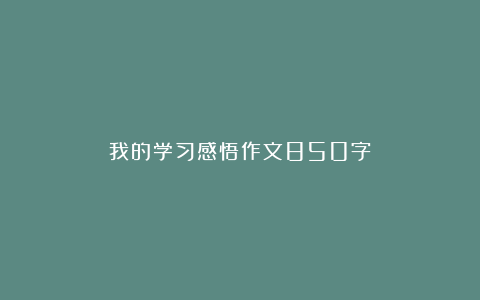 我的学习感悟作文850字