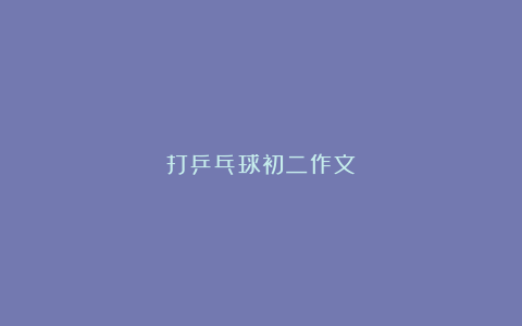 打乒乓球初二作文