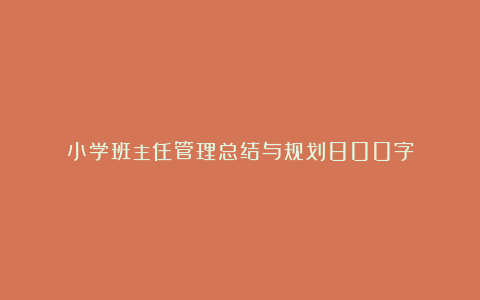 小学班主任管理总结与规划800字