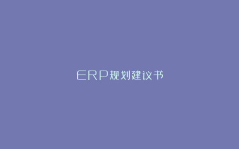 ERP规划建议书