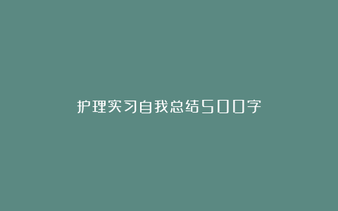 护理实习自我总结500字