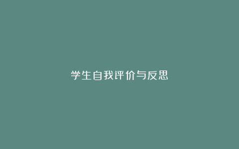 学生自我评价与反思