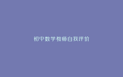 初中数学教师自我评价